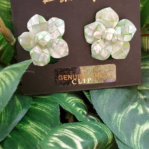 Birch Hill Jewelry - NWT❣ Birch Hill Clip Earrings